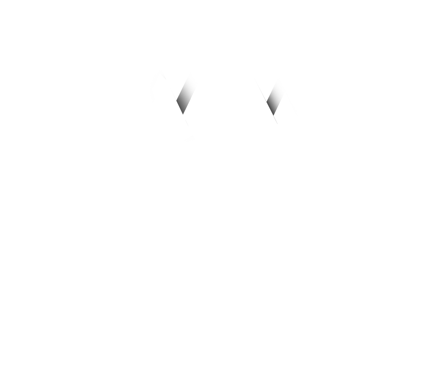 white-logo-v2 Vertikal Brands logo